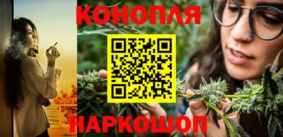 мдпв Ачхой-Мартан