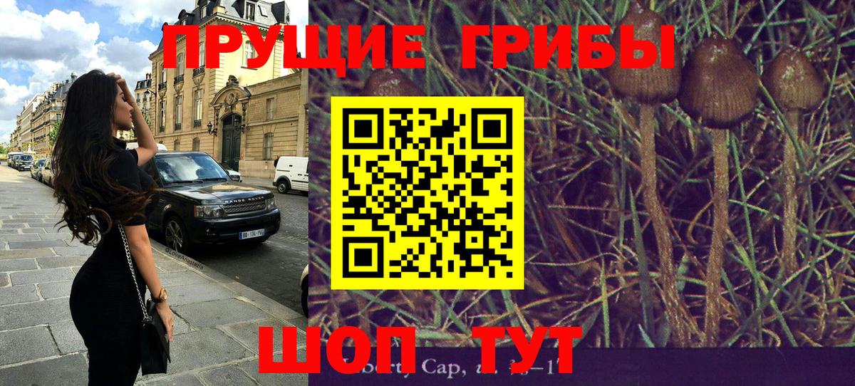 Псилоцибиновые грибы Magic Shrooms  Вход с VPN  Псилоцибиновые грибы ЛСД  Верхняя Пышма 