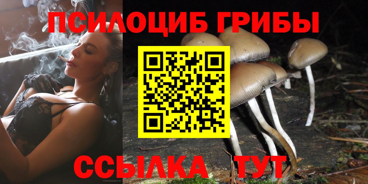 Псилоцибиновые грибы ЛСД Верхняя Пышма